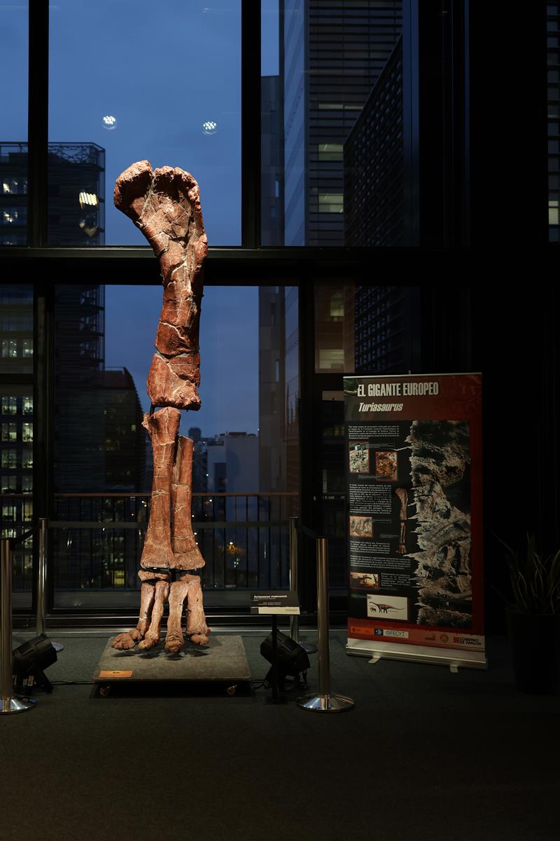 AL El pasado nunca estuvo tan presente 0159 Copy