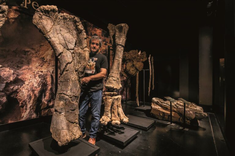 Alberto Cobos fósiles originales Turiasaurus Museo Paleontológico de Dinópolis Museo Aragonés de Paleontología Copy