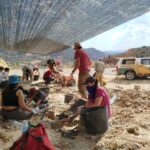 Excavación en el yacimiento Carretera en el Curso de Paleontología y Desarrollo en 2024