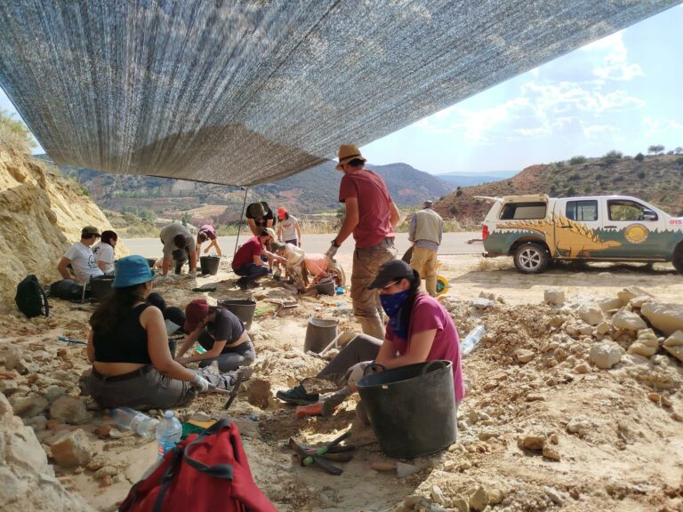 Excavación en el yacimiento Carretera en el Curso de Paleontología y Desarrollo en 2024