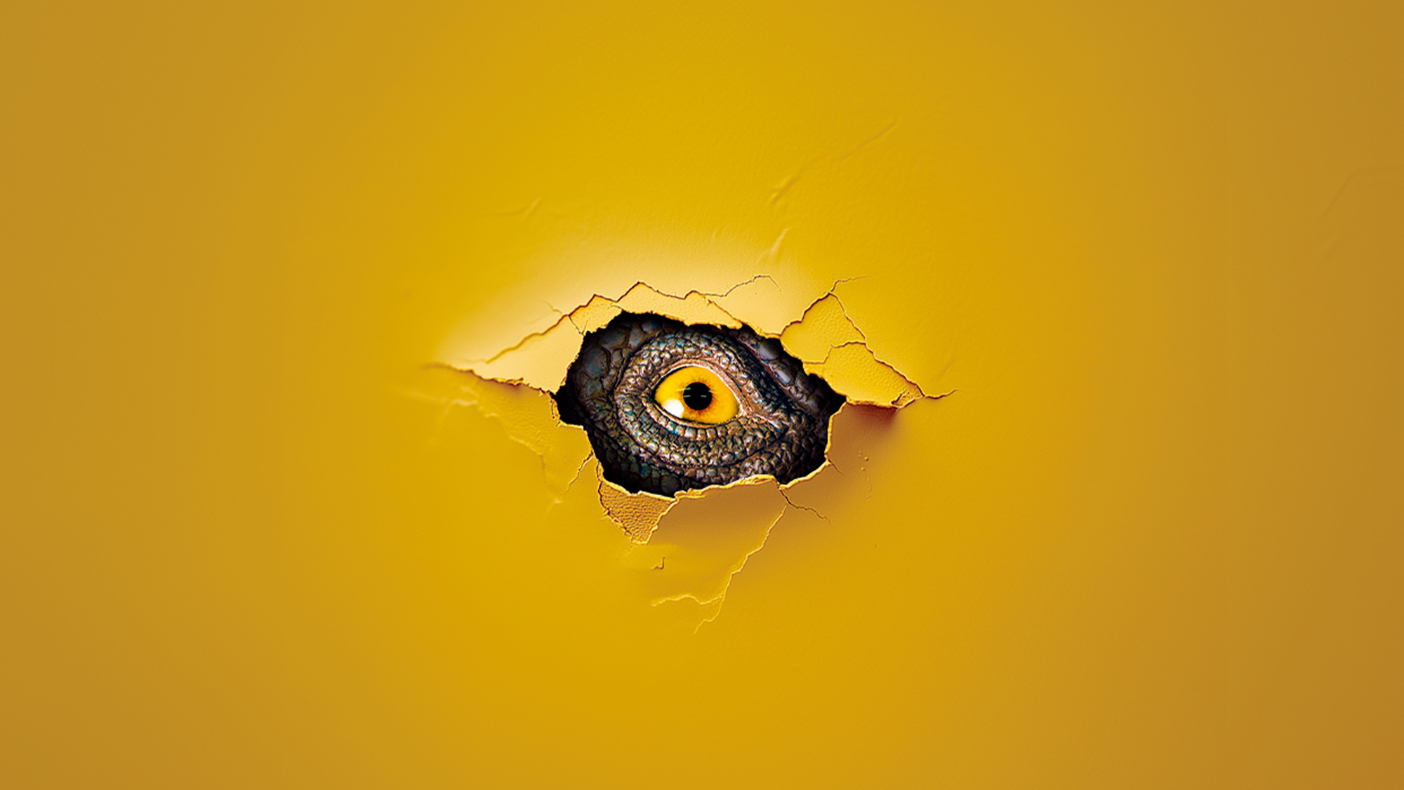 IMAGEN COMUNICACIÓN EVENTO Dinópolis NG España