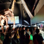 Visita alumnos curso Paleontología 22 ed UVT museo Dinópolis sala dinosaurios