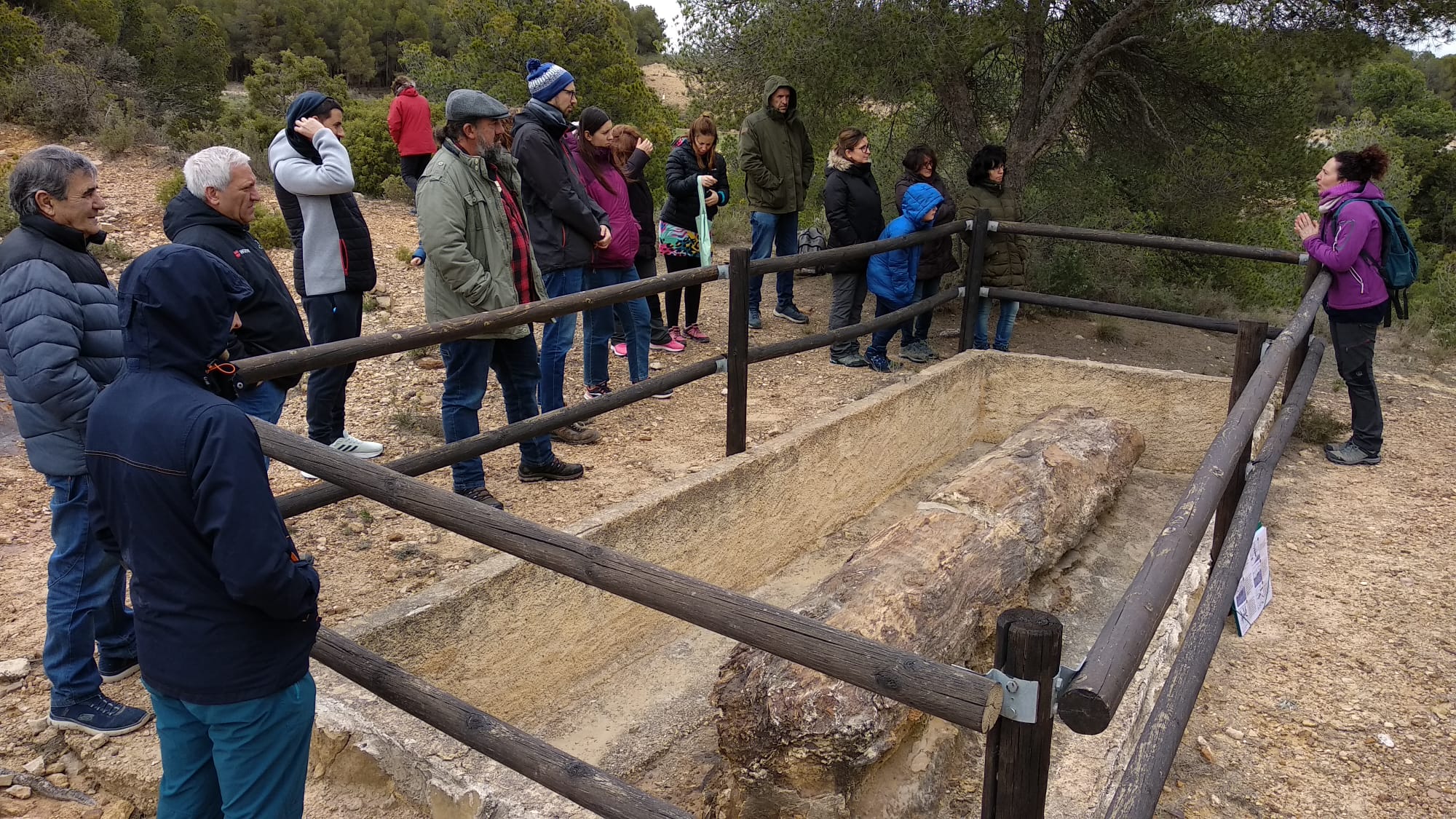 open dino teruel castellote 23032025