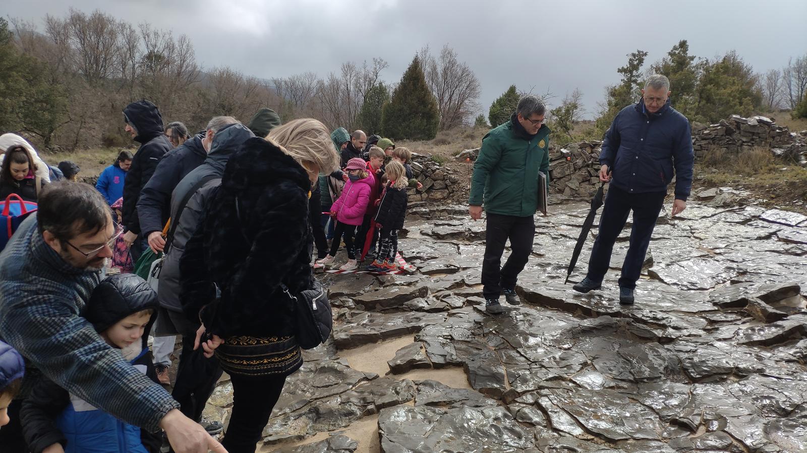 open dino teruel el castellar 23032025 5 Copy