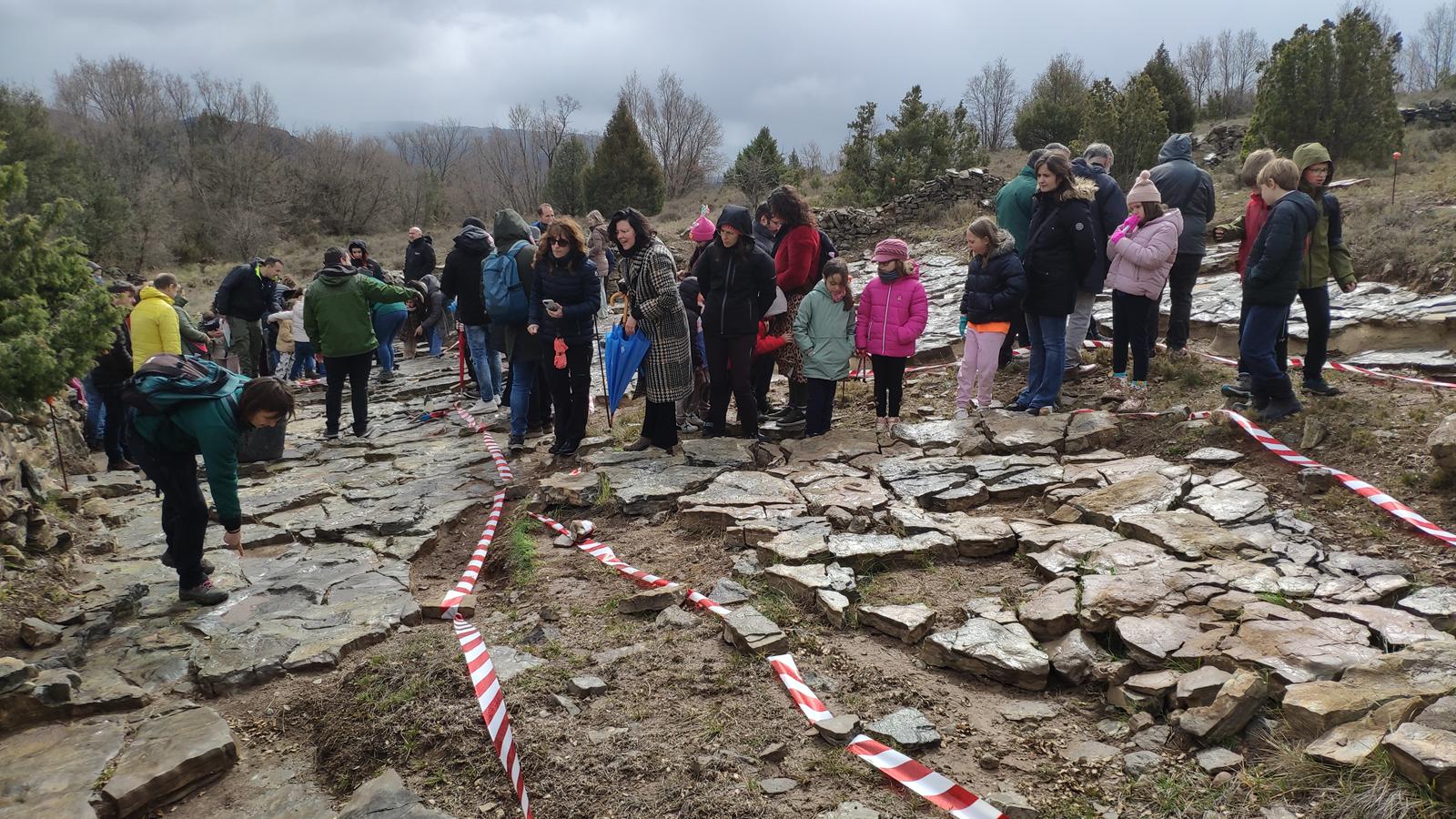 open dino teruel el castellar 23032025 6 Copy