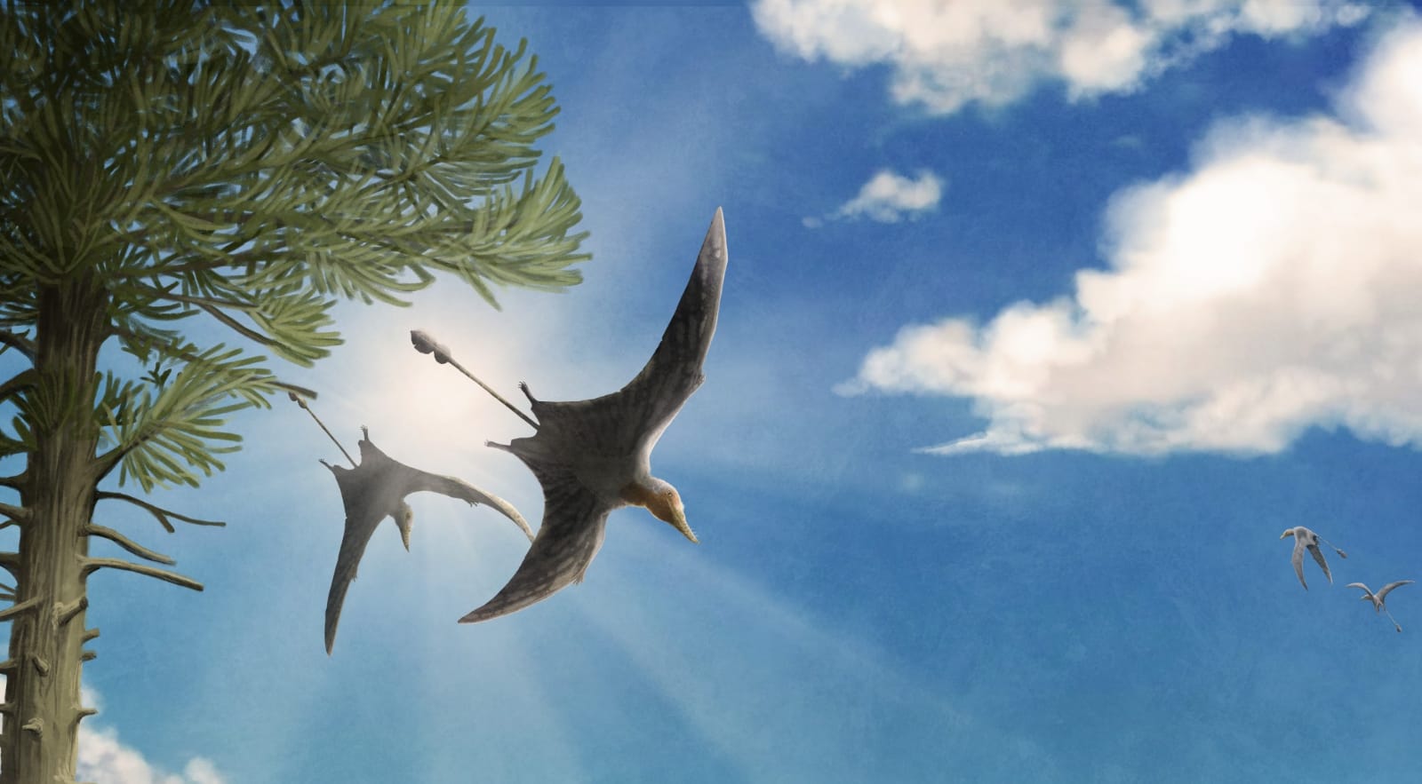 reptiles voladores fundacion dinopolis adrian blazquez