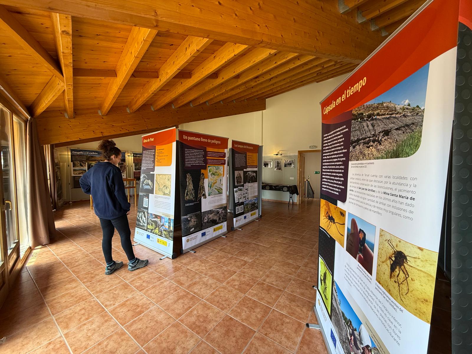 Exposición Dinosaurios del Carbón en la Sala de exposiciones del Centro Social de Gargallo