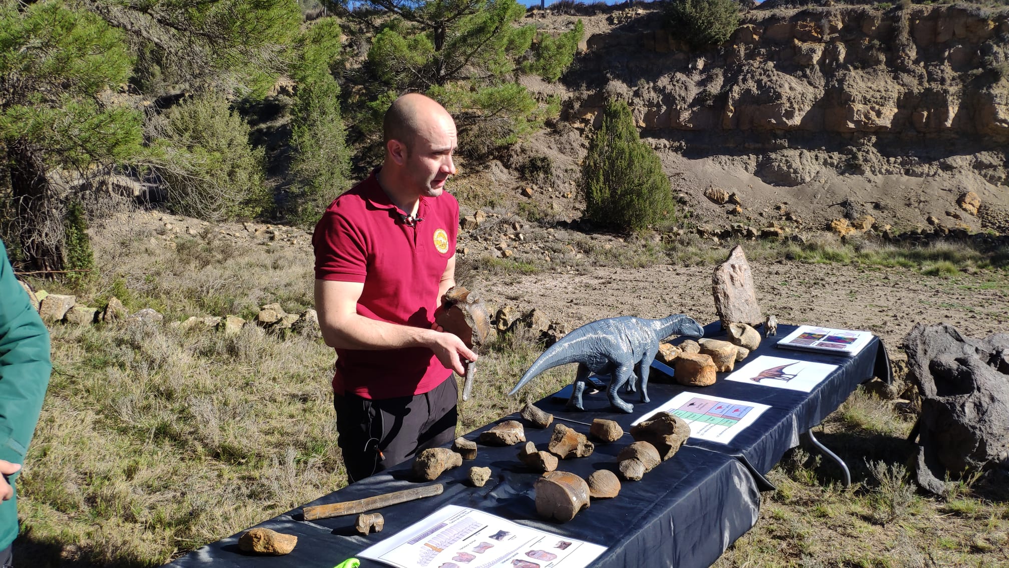 presentación fósiles Iguanodon Cabra de Mora 3