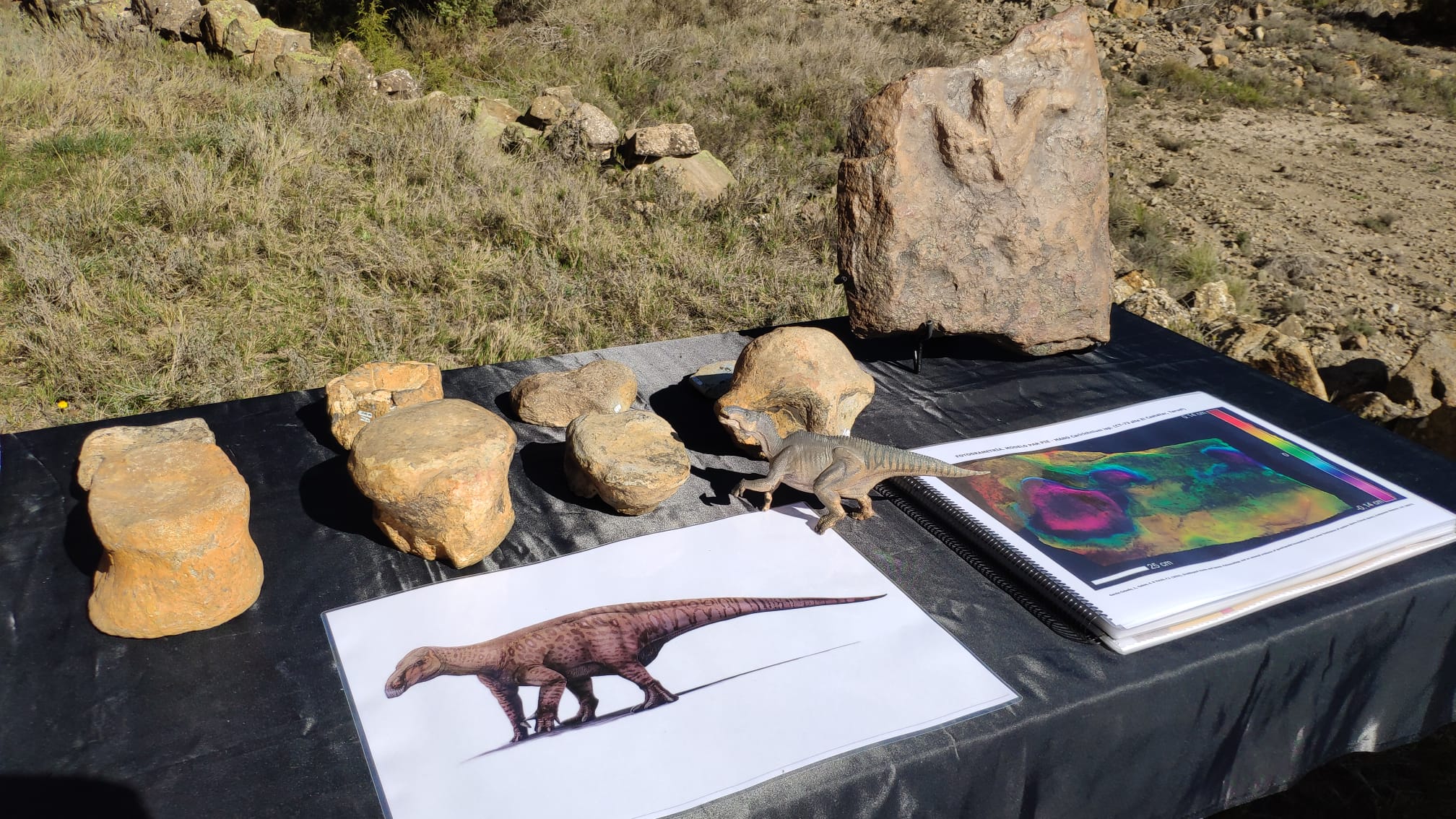 presentación fósiles Iguanodon Cabra de Mora 4