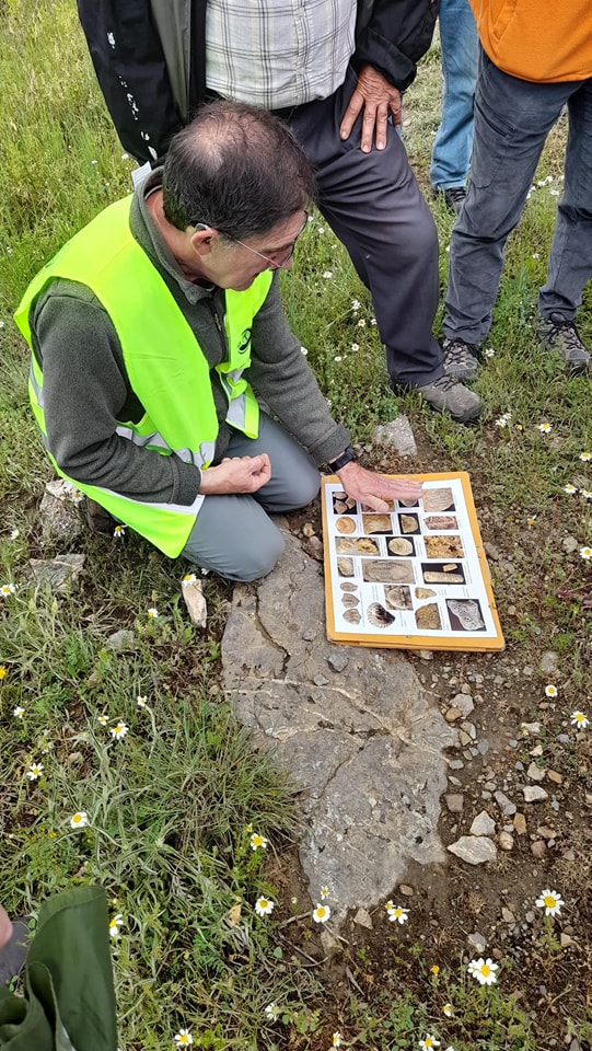 Foto 3 Detalle de explicación en una de las paradas