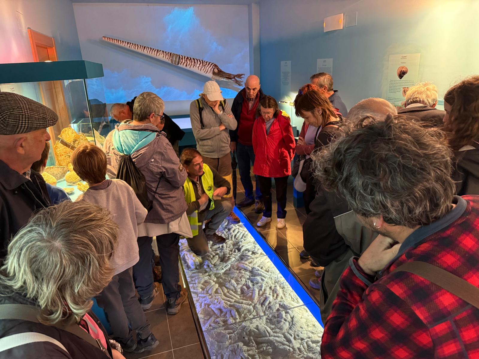 Foto 4 Visitantes en el Museo de los Mares Paleozoicos