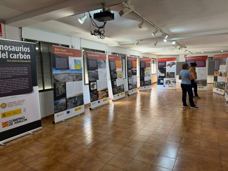 Exposición Dinosaurios del Carbón en el Centro Cultural Valero Lecha de Alcorisa