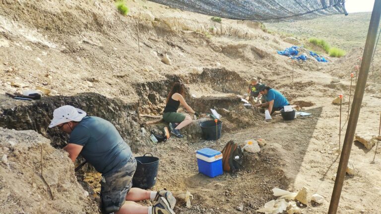 campaña excavación Las Casiones 2025 Copy