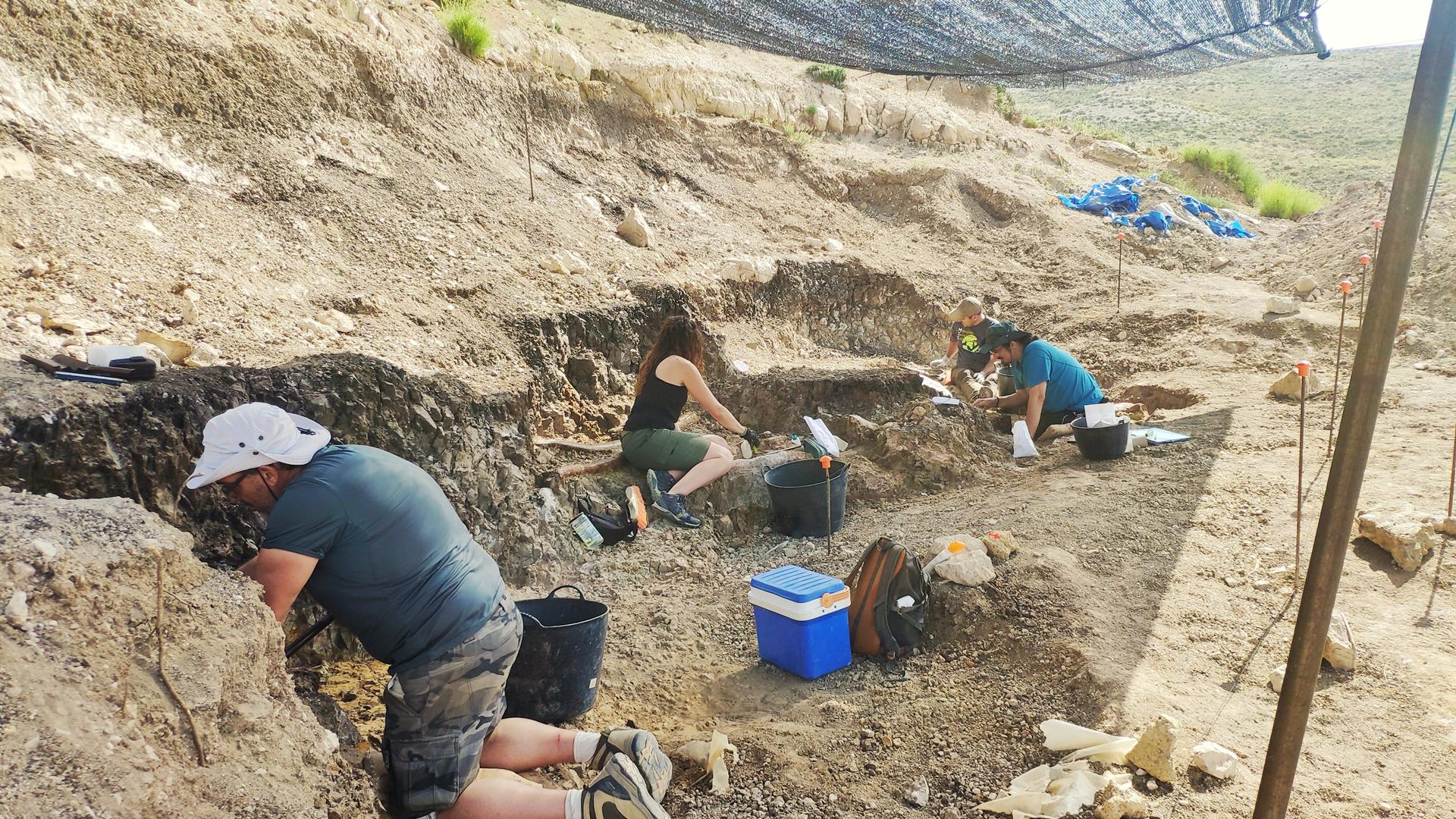 campaña excavación Las Casiones 2025 Copy