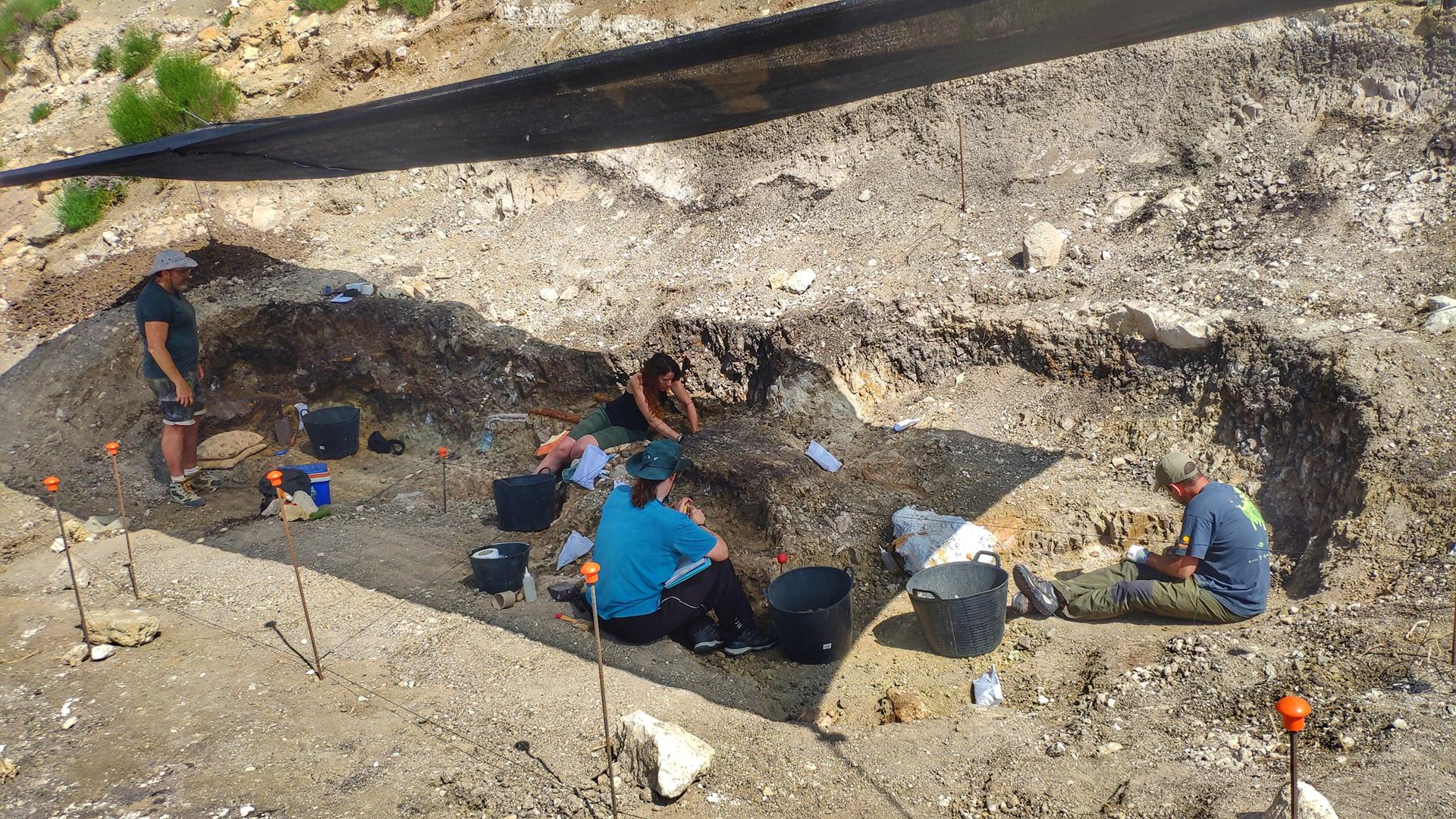 campaña excavación Las Casiones 2025 Copy