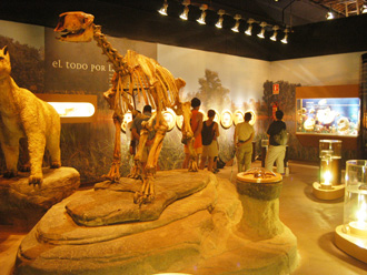 Rubielos de Mora Centro Dinópolis