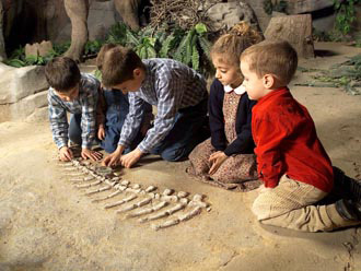 Actividades infantiles en Dinópolis ninos dinopolis huesos