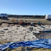 Huellas excepcionales de dinosaurios saurópodos Ababuj