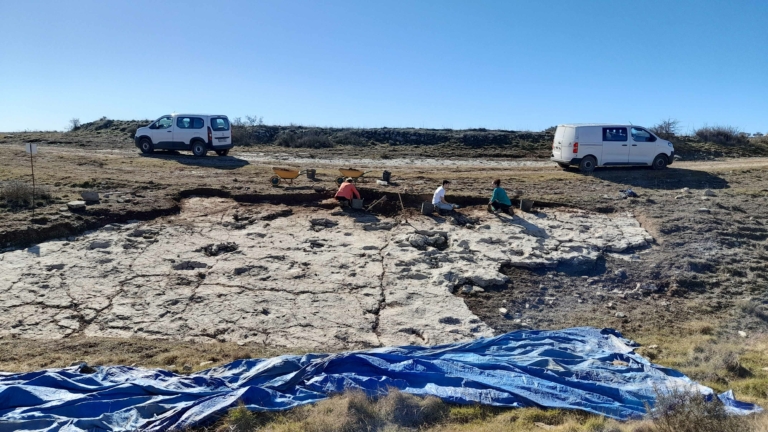 Huellas excepcionales de dinosaurios saurópodos Ababuj