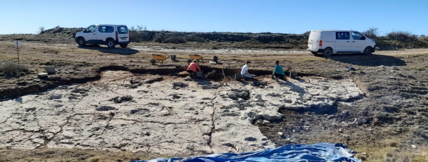 Huellas excepcionales de dinosaurios saurópodos Ababuj