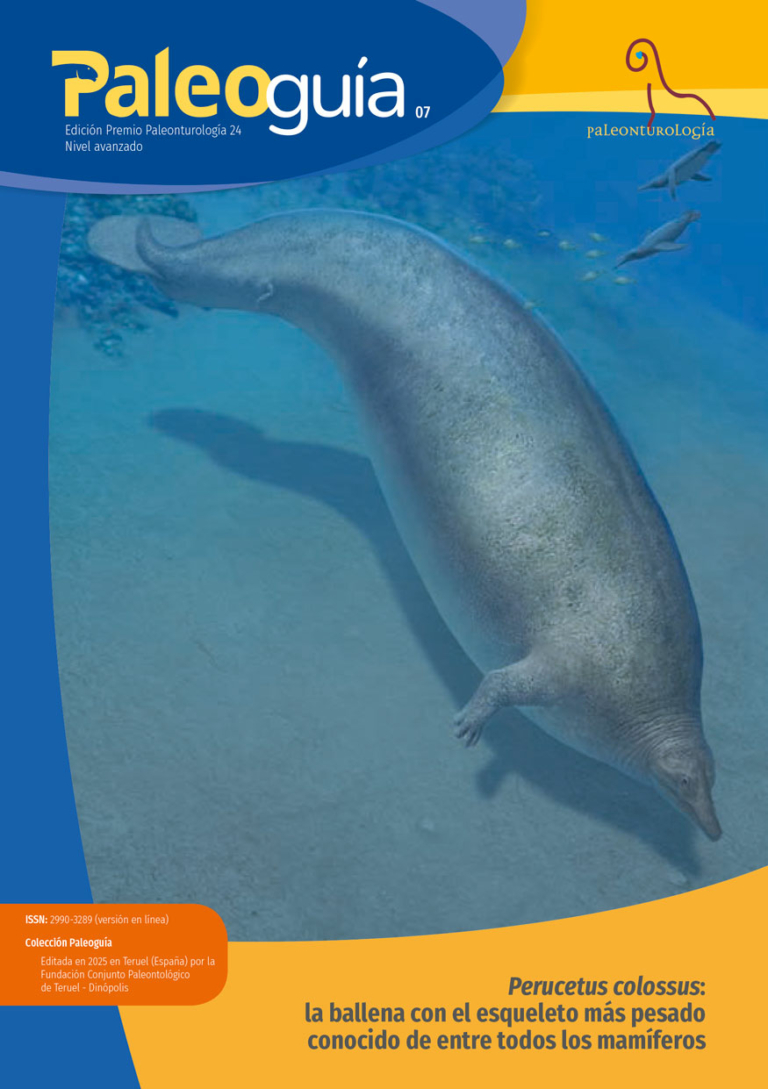 PALEOguia07_portada