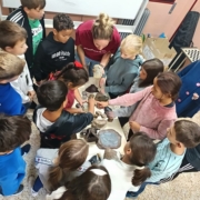 Escolares del Geoparque del Maestrazgo celebran el Día Internacional de la Geodiversidad con actividades sobre patrimonio paleontológico conducidas por la Fundación Dinópolis