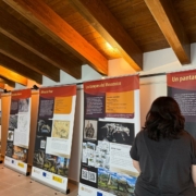 Exposición_Dinosaurios_del_Carbón_en_el_Museo_del_Centro_Cultural_La_Puebla_de_Valverde