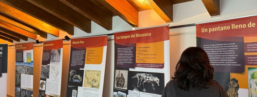 Exposición_Dinosaurios_del_Carbón_en_el_Museo_del_Centro_Cultural_La_Puebla_de_Valverde