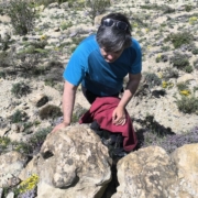 Nuevas huellas de dinosaurios en Allepuz, Cedrillas y Jorcas (Teruel)