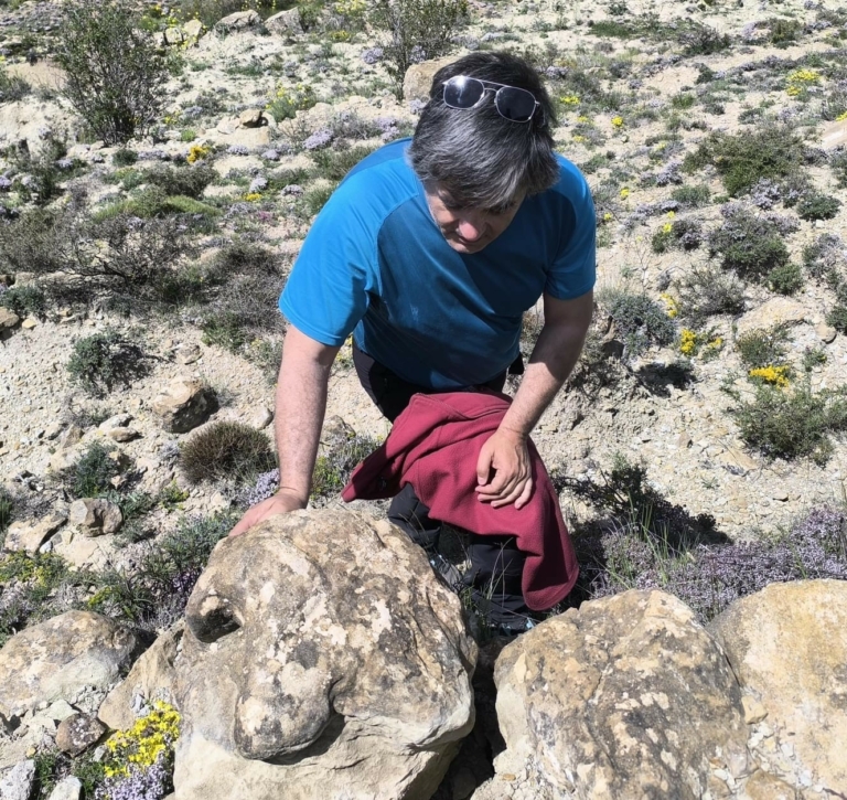 Nuevas huellas de dinosaurios en Allepuz, Cedrillas y Jorcas (Teruel)