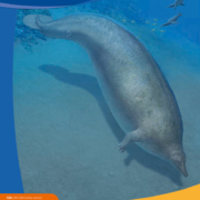 paleoguia07_Portada_en