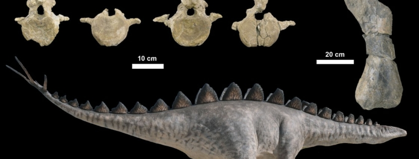 Proyectos de Investigación