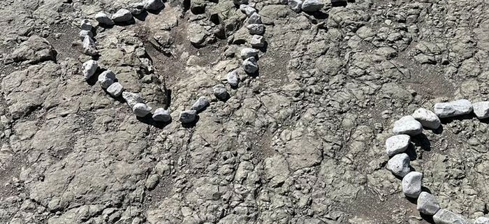 proyectos-internacionales