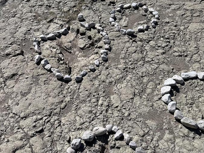 proyectos-internacionales