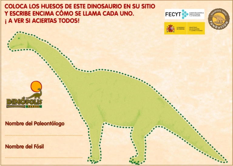 Talleres didácticos