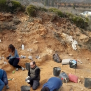 La Fundación Dinópolis excava gacelas, caballos, ciervos y rinocerontes de unos dos millones de años de antigüedad en La Puebla de Valverde (Teruel)