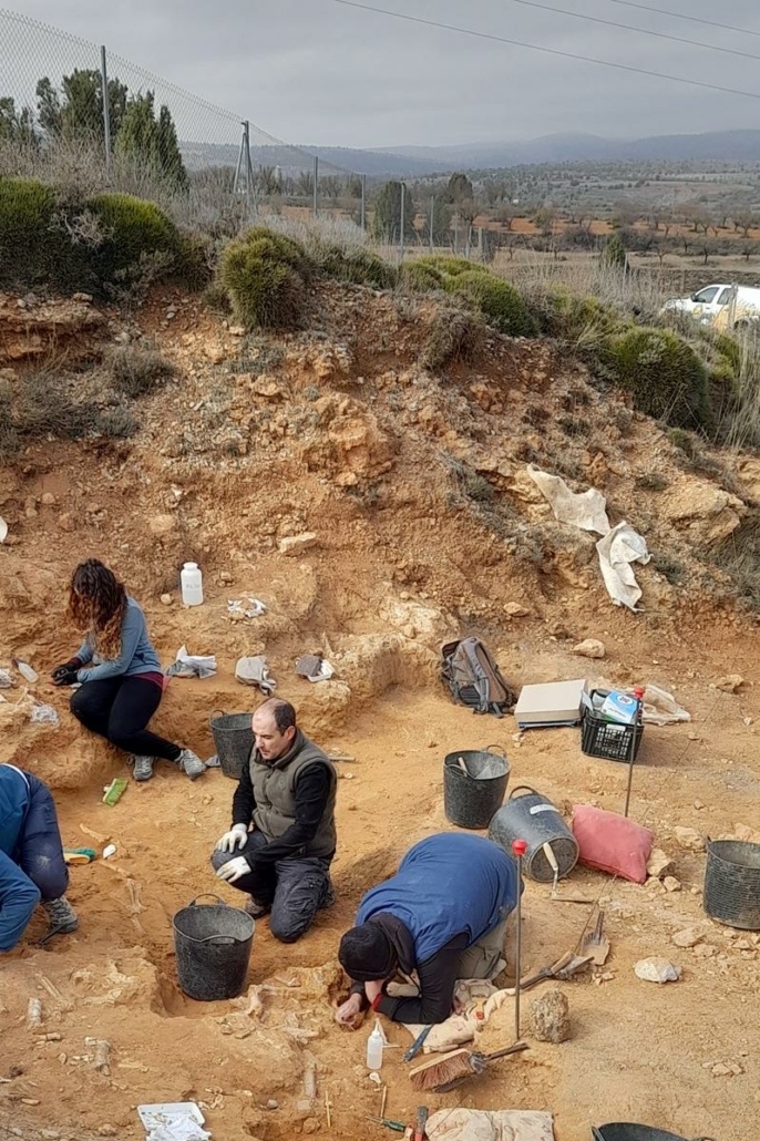 La Fundación Dinópolis excava gacelas, caballos, ciervos y rinocerontes de unos dos millones de años de antigüedad en La Puebla de Valverde (Teruel)