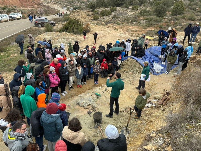 Actividades didacticas