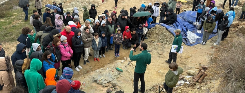 Actividades didacticas