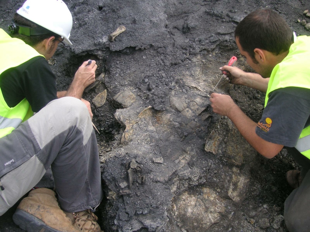 Colaboraciones nacionales