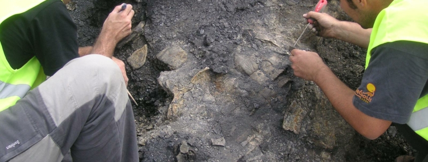 Colaboraciones nacionales