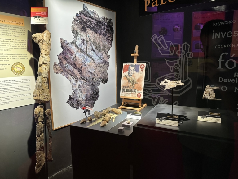 Holotipos estudiados por la Fundación Dinópolis