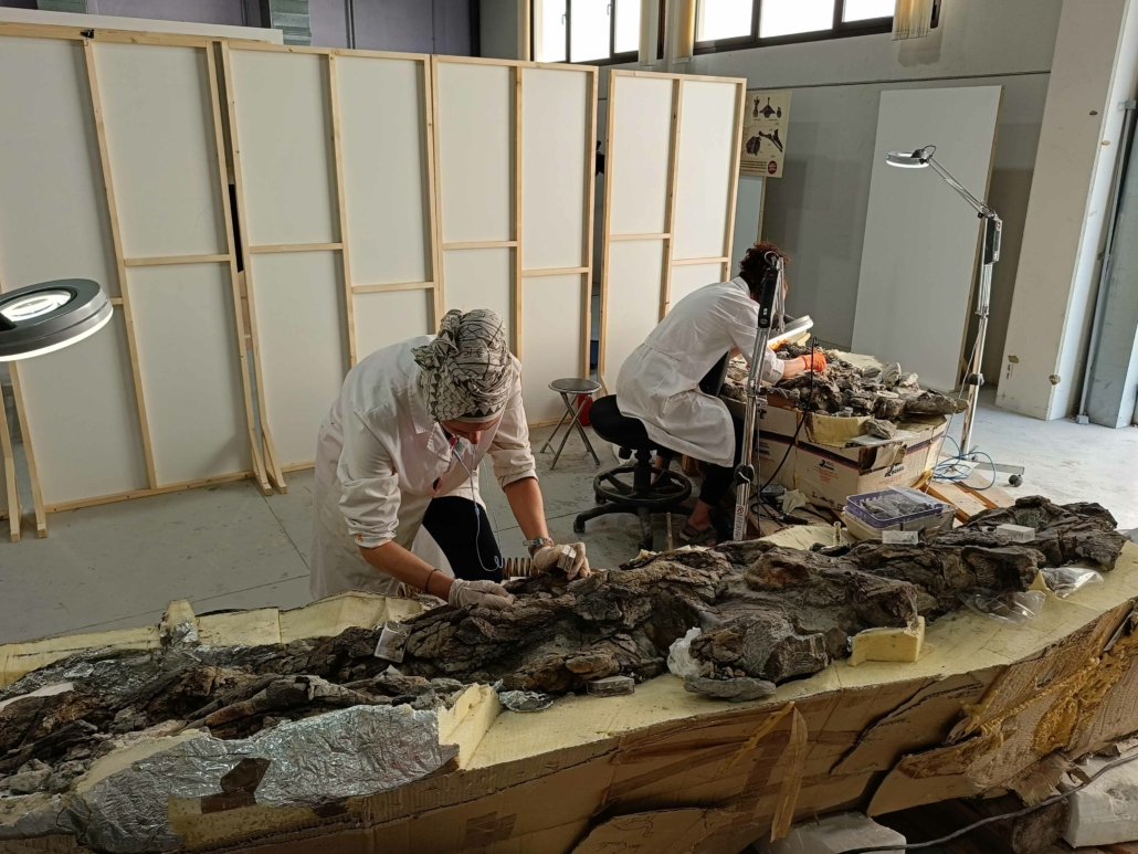 Laboratorio de Paleontología