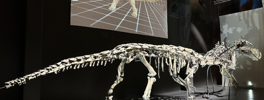 Museo Aragones de Paleontologia