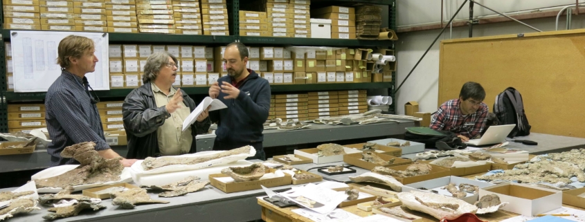 Proyectos internacionales