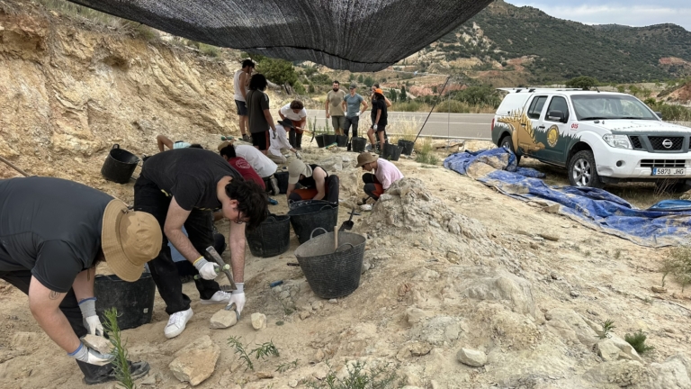 Abierta la matrícula del XXV Curso de Paleontología y desarrollo: Prácticas en excavación de dinosaurios