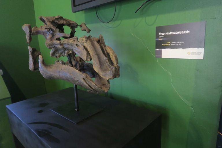 La exposición “Dinosaurios del carbón” producida por la Fundación Dinópolis se instala en el Parque Temático de la Minería de Utrillas