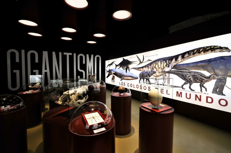 La Fundación Conjunto Paleontológico de Teruel-Dinópolis celebra el Día Internacional de los Museos con una visita por sus instalaciones científicas en Teruel y una jornada de divulgación científica en Riodeva