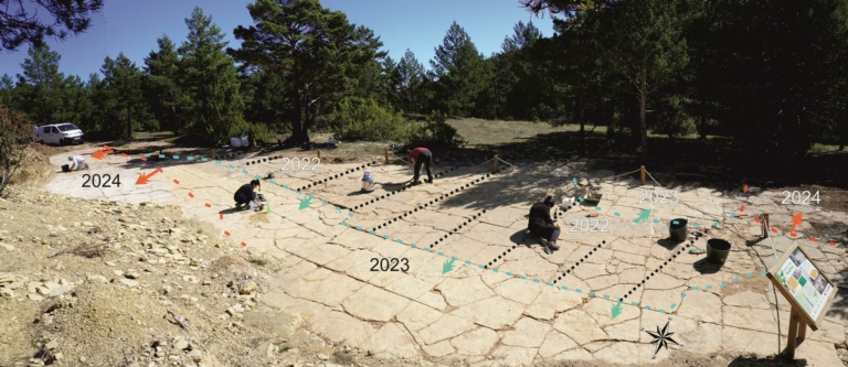 Un yacimiento de icnitas de dinosaurios en Mosqueruela (Teruel) y su estudio patrimonial, en una publicación internacional de la Fundación Dinópolis