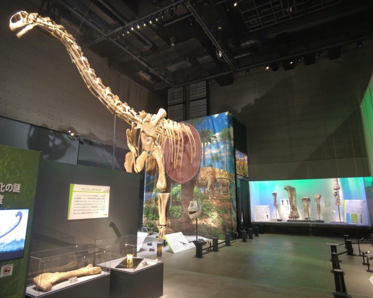LOS DINOSAURIOS GIGANTES DE TERUEL “VUELAN” HASTA JAPÓN DE LA MANO DE LA FUNDACIÓN DINÓPOLIS